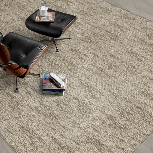 簇绒满铺地毯 - LIONEL  - Stanton Carpet Corporation - 聚酯 / 商用 / 图案