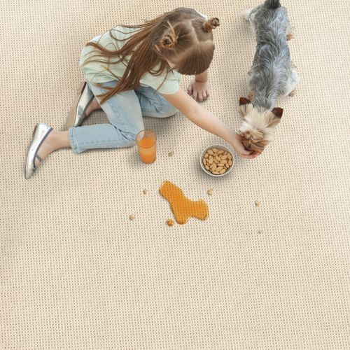 簇绒满铺地毯 - MALORY  - Stanton Carpet Corporation - 丝绸 / 商用 / 图案