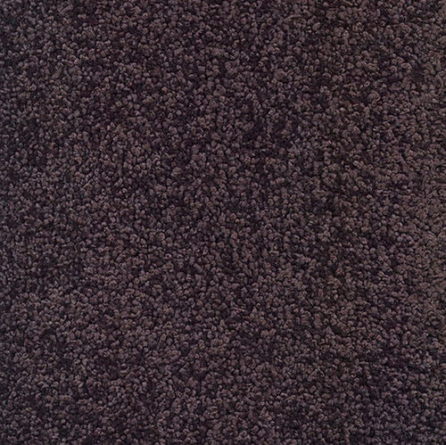 方块地毯 - KASHMIR ELEMENT EVA - Anker-Teppichboden - 簇绒 / 聚酰胺 / 丝绒