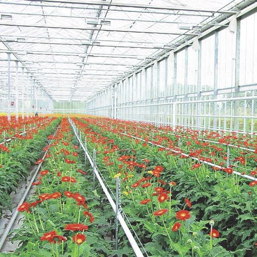 钢管道 - FORCAS® - TATA STEEL - 用于排水系统