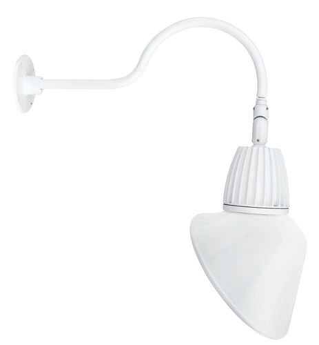 明装照明设备 - GOOSENECK CONE - RAB Lighting - LED式 / 圆形 / 用于展示柜