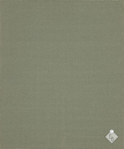 现代风格地毯 - CAVIANA GREEN - Edition Bougainville - 单色 / 聚丙烯 / 长方形