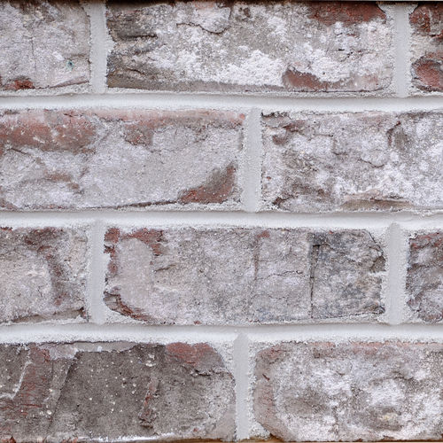 外墙砖 - WEEKS HOUSE - PINE HALL BRICK - 实心 / 棕色 / 白色