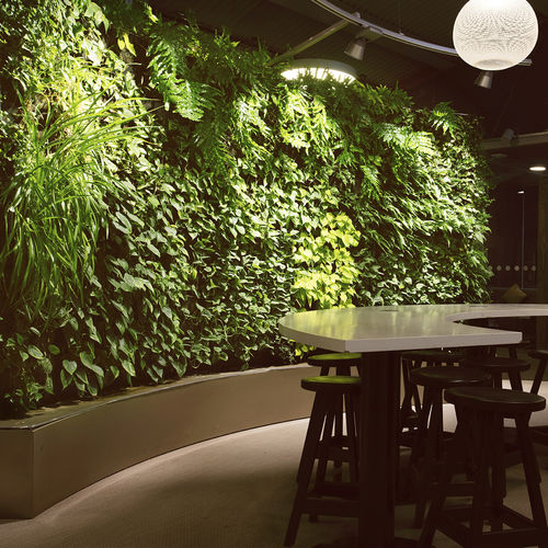 活植物垂直花园 - LOUNGE AT ARLANDA TERMINAL 2 - GREENWORKS SWEDEN - 定制 / 曲线 / 天然