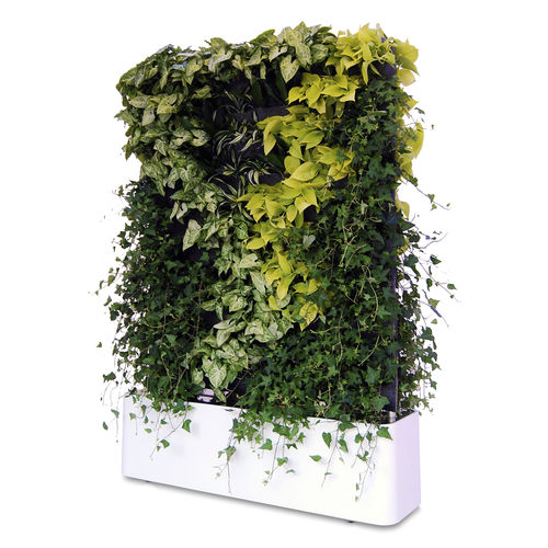 活植物绿植墙 - MOVING HEDGE - GREENWORKS SWEDEN - 模块化板 / 天然 / 室内