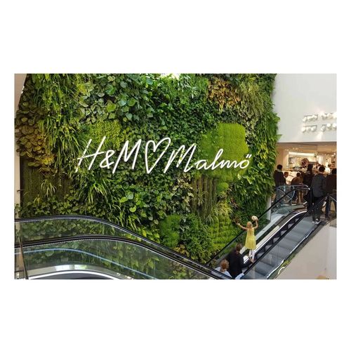 活植物垂直花园 - H&M AT GUSTAV ADOLFS TORG - GREENWORKS SWEDEN - 定制 / 天然 / 室内