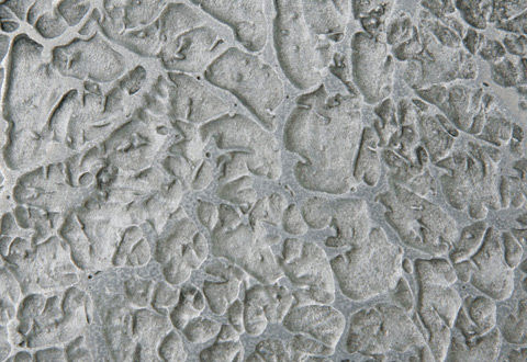 装饰油漆 - ALUMINIUM : BLACK WAX - Metalier International Ltd - 墙面 / 金属效果
