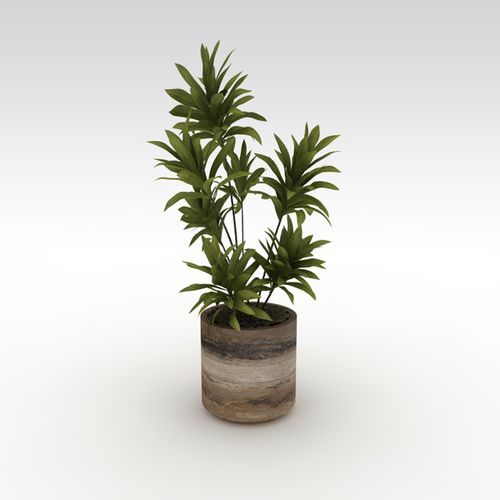 钙华园艺花盆 - basic - Arredo di Pietra srl - 圆形 / 防紫外线 / 防冻