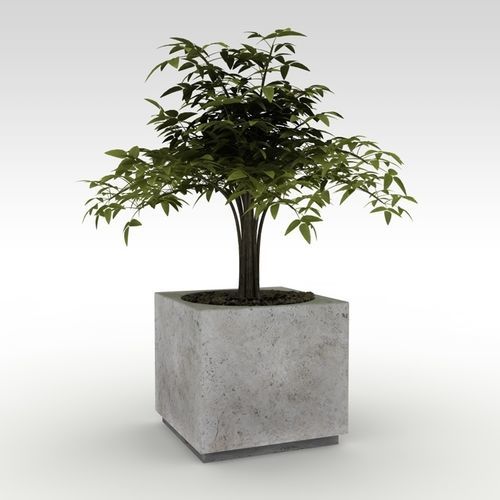 天然石材花坛 - basic - Arredo di Pietra srl - 钙华 / 正方形 / 高强度