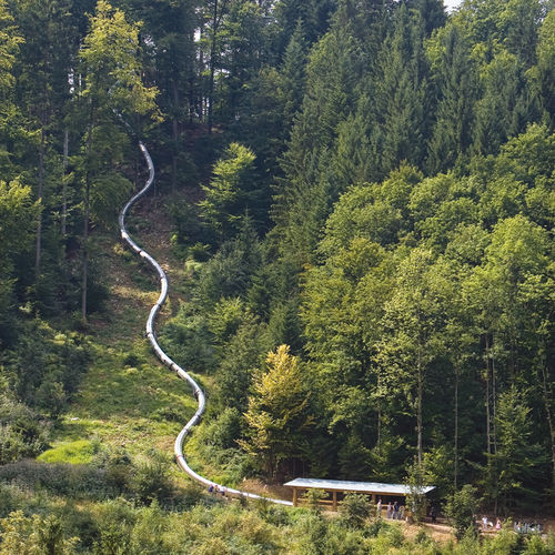 旋转滑梯 - TREE TOP WALK WALDKIRCH  - atlantics GmbH - 游乐场 / 不锈钢 / 管状