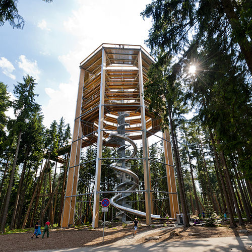旋转滑梯 - TREE TOP WALK LIPNO  - atlantics GmbH - 游乐场 / 不锈钢 / 高速