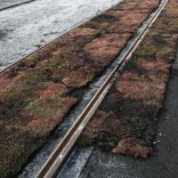 地面稳定剂 - BERA&reg; RAILFIX - BERA B.V. - 有轨电车 / 用于绿化轻轨