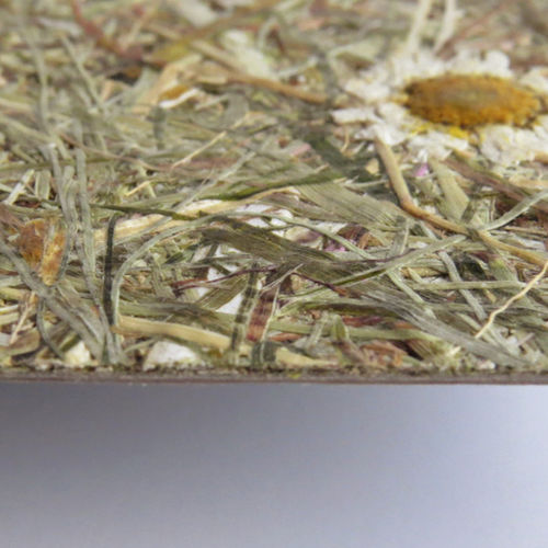 室内装潢装饰面板 - WILDSPITZE MARGERITTA - Organoid Technologies GmbH - 天然纤维 / HPL / 布艺