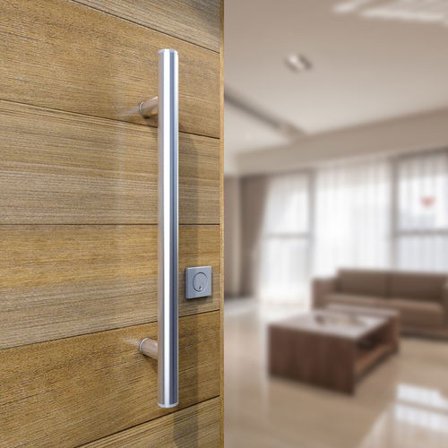 门拉手 - INOX-100 / 316 SATINE - Panidis SA - 不锈钢 / 现代风格 / 家用