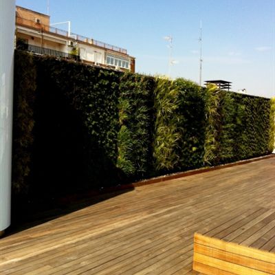活植物绿植墙 - PRIVATE PENTHOUSE - Paisajismo Urbano - 模块化板 / 天然 / 花园