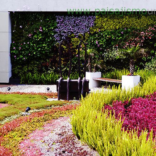 稳定绿植墙 - BIOMAX  - Paisajismo Urbano - 模块化板 / 天然 / 永生苔藓