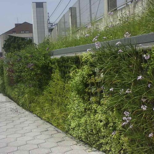 活植物绿植墙 - BERANGO, BIZKAIA - Paisajismo Urbano - 模块化板 / 天然 / 花园