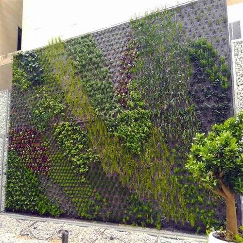 活植物绿植墙 - AVDA. GENERAL MARVA, ALICANTE - Paisajismo Urbano - 模块化板 / 天然 / 花园