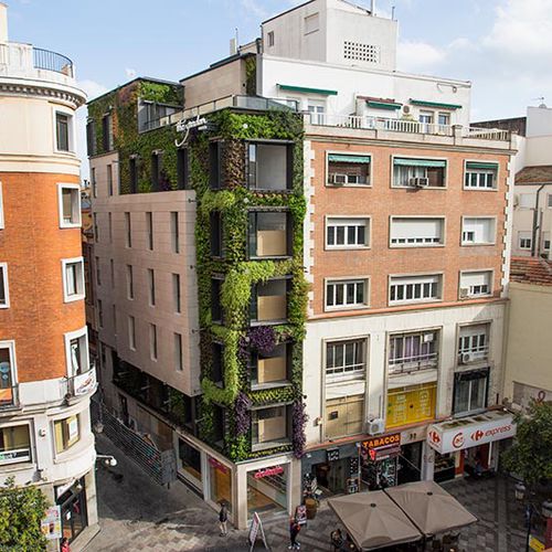 稳定绿植墙 - MONTERA STREET - MADRID - Paisajismo Urbano - 模块化板 / 天然 / 花园