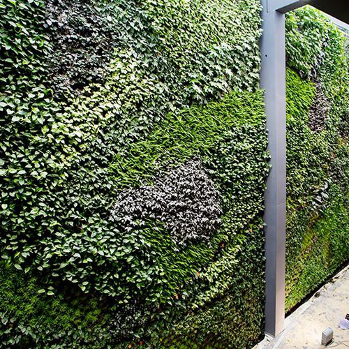 稳定绿植墙 - VERTICAL EN ALCORCÓN - SEAFOOD RESTAURANT - Paisajismo Urbano - 模块化板 / 天然 / 室内