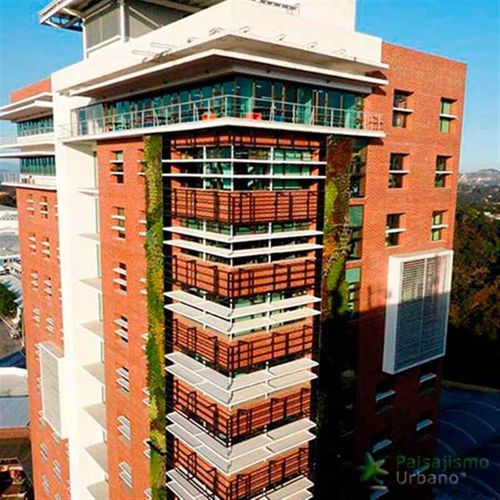 活植物绿植墙 - GUATEMALA - CRECE BUILDING - Paisajismo Urbano - 柱 / 天然 / 花卉