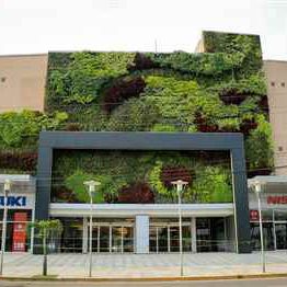 活植物绿植墙 - BOLIVIA - LAS BRISAS MALL - Paisajismo Urbano - 模块化板 / 天然 / 永生苔藓