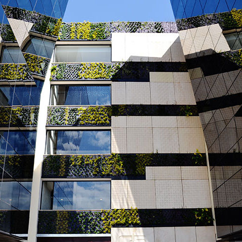 稳定绿植墙 - CONNECTA G4-G5 BUSINESS PARK BUILDING - Paisajismo Urbano - 活植物 / 模块化板 / 天然