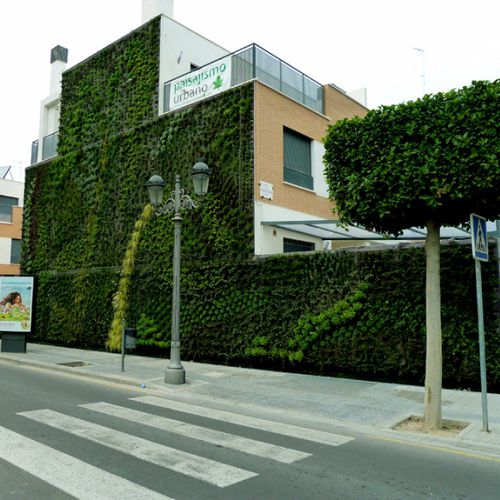 活植物绿植墙 - VALENCIA - Paisajismo Urbano - 模块化板 / 天然 / 苔藓