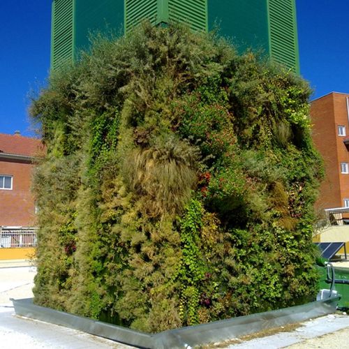 稳定绿植墙 - VEGETAL COVER IN GETAFE, MADRID - Paisajismo Urbano - 活植物 / 模块化板 / 柱