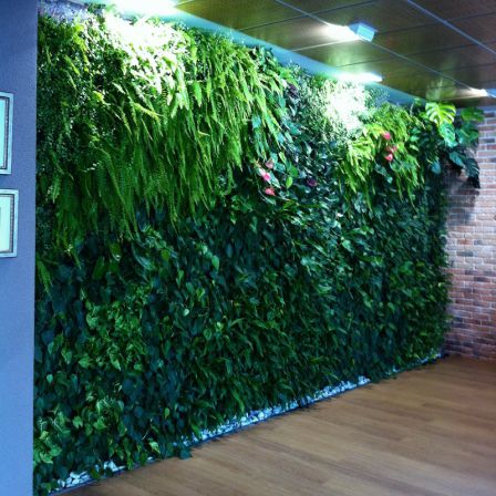 稳定绿植墙 - SPAIN, ALICANTE – PRIVATE OFFICE - Paisajismo Urbano - 活植物 / 模块化板 / 天然