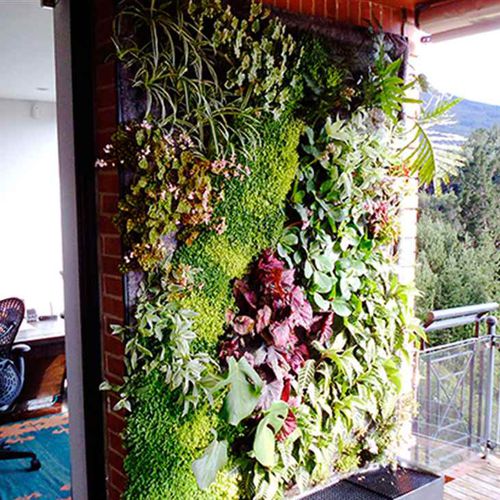 活植物绿植墙 - COLOMBIA – PRIVATE HOUSE, BOGOTÁ - Paisajismo Urbano - 模块化板 / 天然 / 花卉