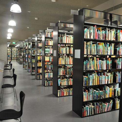 现代风格置物架 - MEDIATHEK - Zambelli GmbH & Co. KG - 金属 / 图书馆用 / 商用