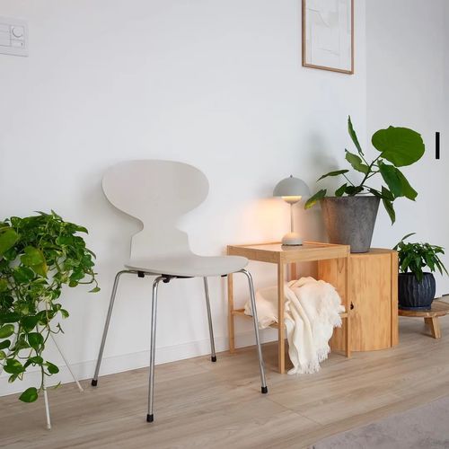 现代风格椅子 - ANT™  - Fritz Hansen - 室内 / 木制贴皮 / 榆木
