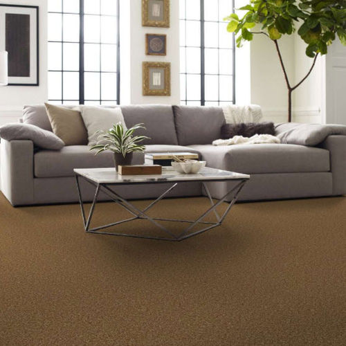 簇绒满铺地毯 - CORK - Shaw floors - 尼龙 / 单色 / 米色