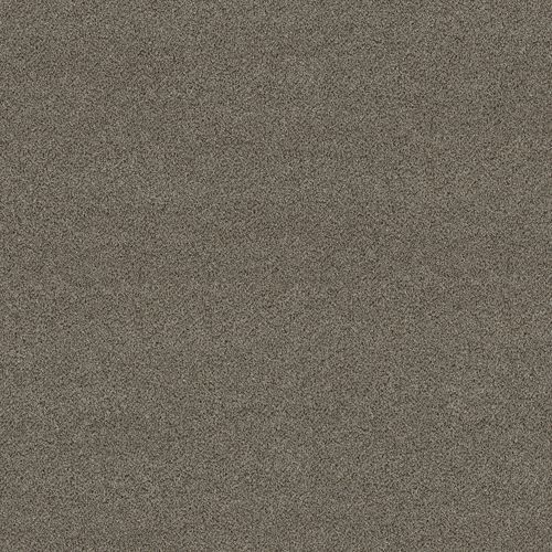 割绒满铺地毯 - 5E966-00720 - Shaw floors - PET / 商用 / 图案