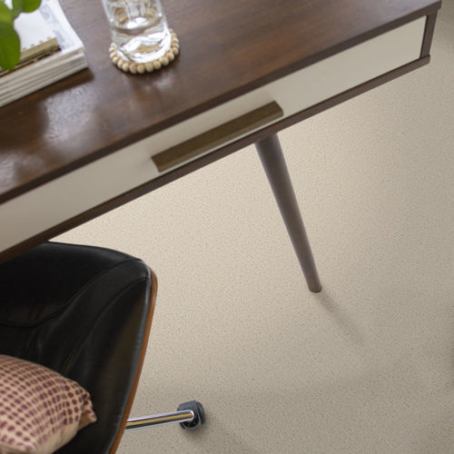 簇绒满铺地毯 - REFINED CANVAS - Shaw floors - 尼龙 / 商用 / 图案