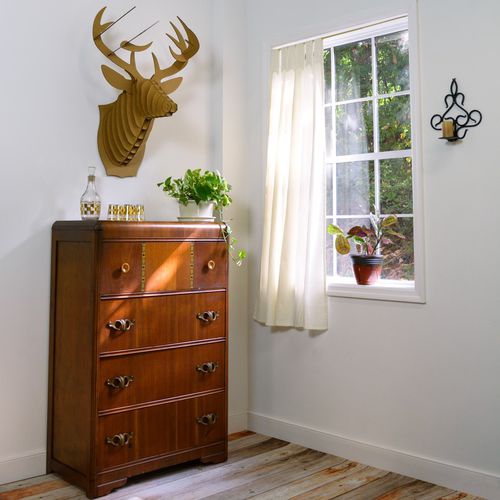 硬纸板雕塑 - BUCKY DEER HEAD - cardboard safari - 墙面