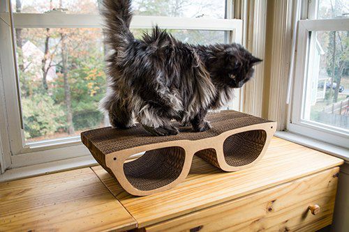 硬纸板雕塑 - HIP GLASSES CAT SCRATCHER - cardboard safari