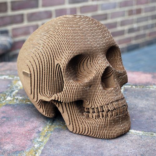 硬纸板雕塑 - VINCE HUMAN SKULL - cardboard safari - 户外
