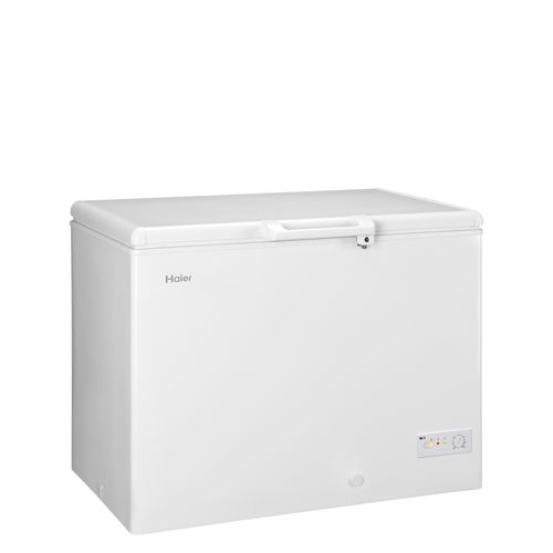 箱式冷冻柜 - BD-319RAA - Haier - 白色 / 节能