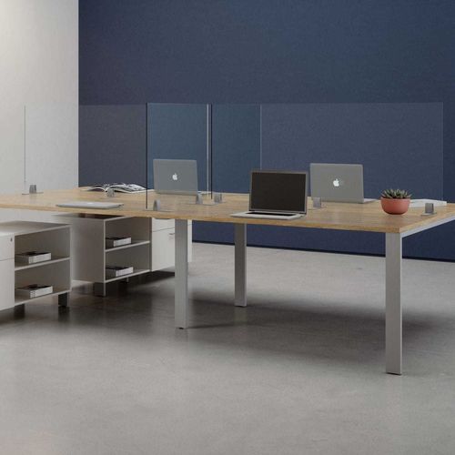 台式办公室隔板 - MYGUARD - Office Furniture Group - 丙烯塑料 / 透明
