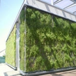 户外绿植墙