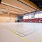 室内运动地板LUMAFLEX ENERGY LINOSPORT XF&sup2;Tarkett Sports Indoor