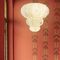 悬吊灯ARBO SLzf-Lamps
