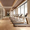 可编程跑步机SAND STONETECHNOGYM