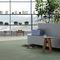 PVC地板SPHERA ELITE B+Forbo Flooring Systems