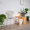 现代风格椅子ANT&trade; Fritz Hansen