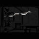 悬挂式照明设备 / LED式 / 弯曲 / 公共空间