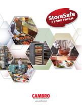 Store Safe Brochure