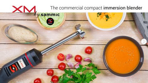 Immersion blender XM-12